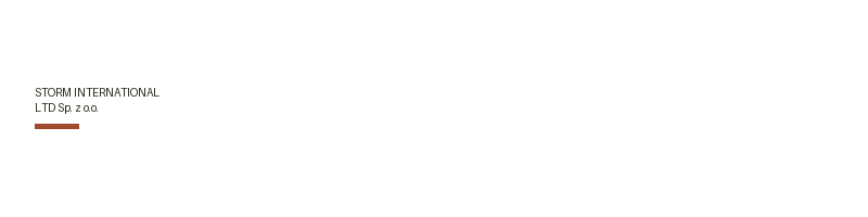 STORM INTERNATIONAL LTD Sp. z o.o. logo